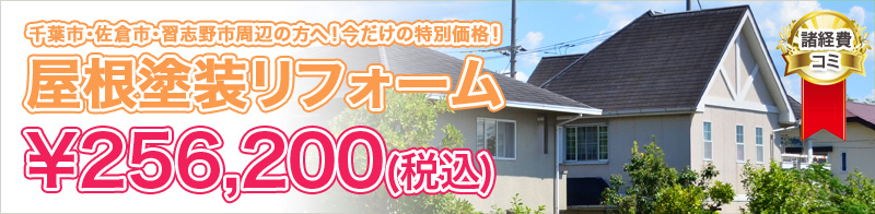 屋根塗装リフォーム¥287,000(税抜)